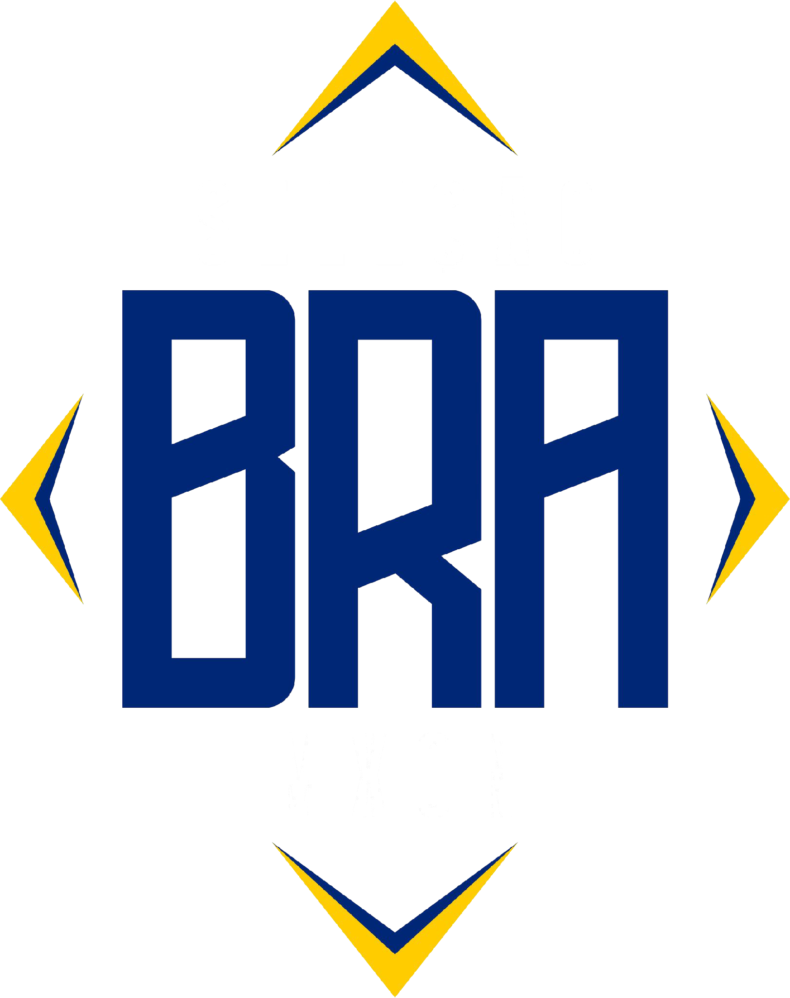 Escudo Seleção BRA MXON